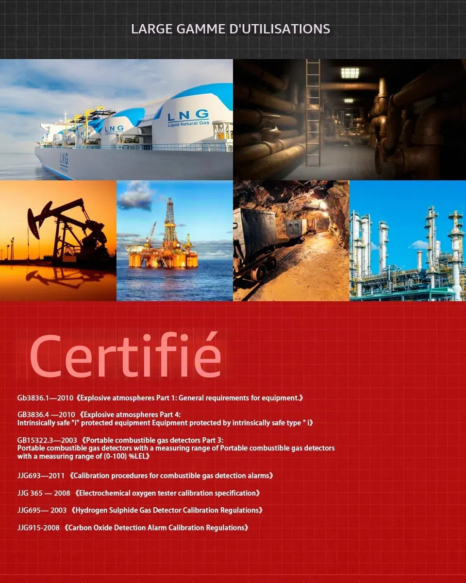 Wintact Détecteur de fuite de gaz 4 en 1, moniteur multi-alarme de gaz combustible, naturel, méthane, propane, monoxyde de carbone, sulfure d'hydrogène, oxygène pour la maison, camping-car, égout